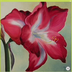 Amaryllis, 40cmx40cm, Öl auf Leinwand